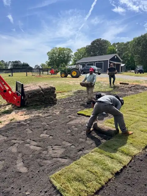 Crew laying rolls of sod on prepared soil in a new backyard