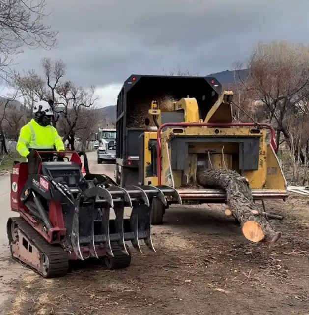 Crew member on a mini skid steer feeding a large log into a wood chipper